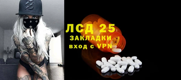 PSILOCYBIN Остров