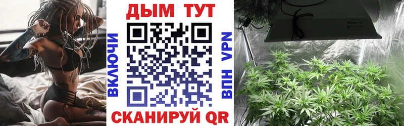 МАРИХУАНА план  где купить   блэк спрут ССЫЛКА  Камышлов 